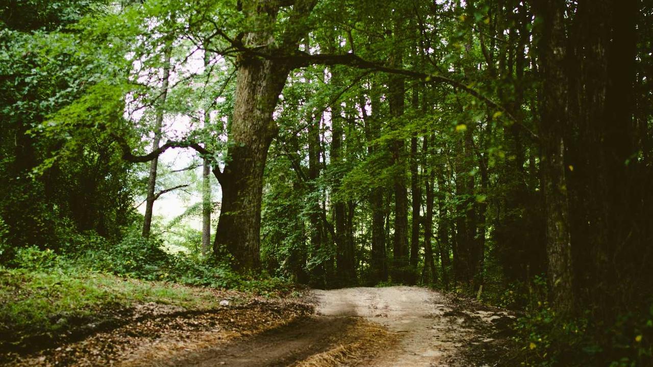 图片[3]-“创业网：构建在线平台实现创意与投资的无缝对接”-创业网 - 最新网络创业项目与实战营销教程平台 | cye.cc