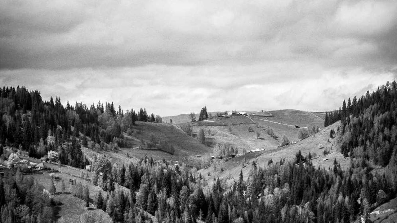 图片[2]-网络创业：新时代的机遇与挑战分析-创业网 - 最新网络创业项目与实战营销教程平台 | cye.cc