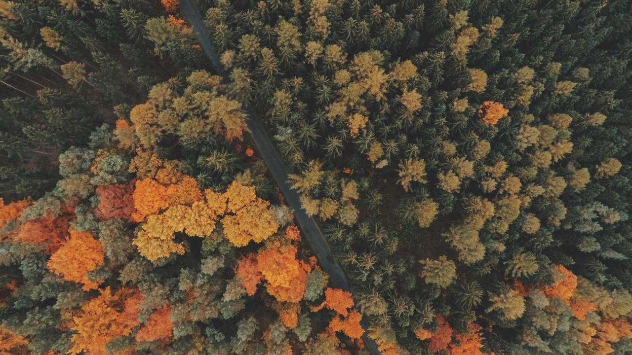 “创业网：探索数字化转型中的商业机遇与挑战”-创业网 - 最新网络创业项目与实战营销教程平台 | cye.cc