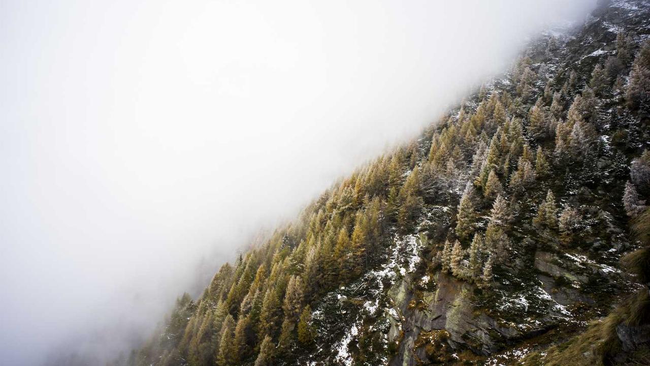 图片[2]-数字化时代的创业网络生态系统-创业网 - 最新网络创业项目与实战营销教程平台 | cye.cc