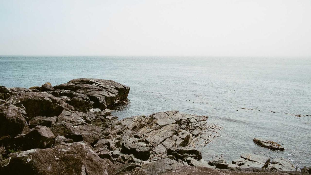 图片[3]-数字化时代的创业网络生态系统-创业网 - 最新网络创业项目与实战营销教程平台 | cye.cc