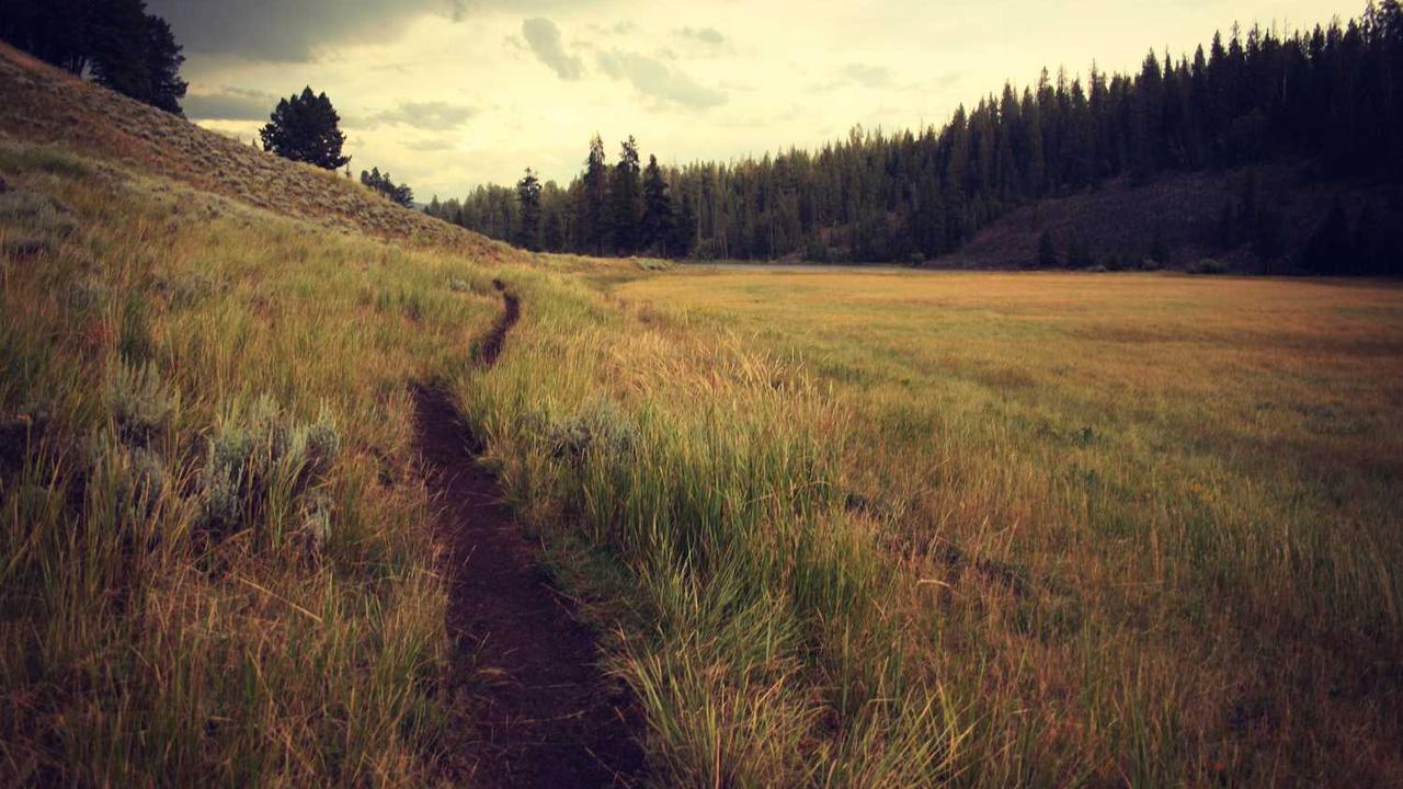 图片[2]-创业网 - 最新网络创业项目与实战营销教程平台 | cye.cc