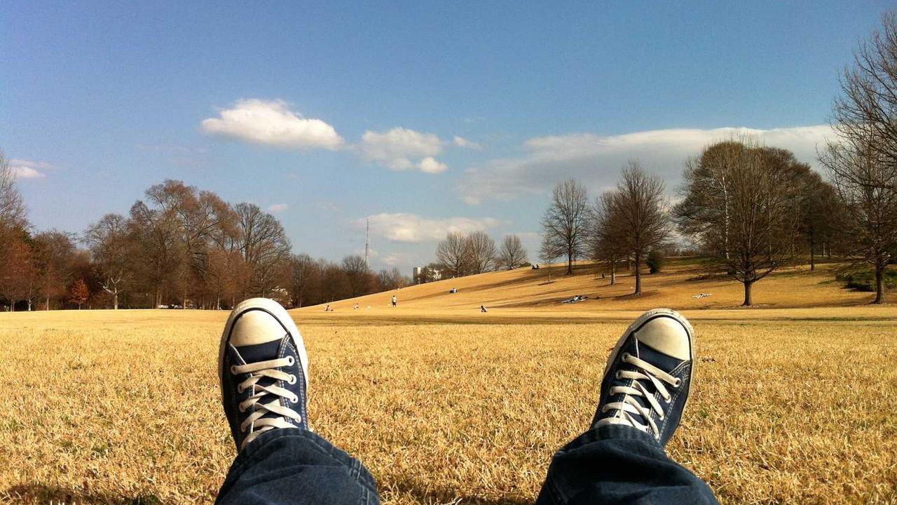 创业网 - 最新网络创业项目与实战营销教程平台 | cye.cc