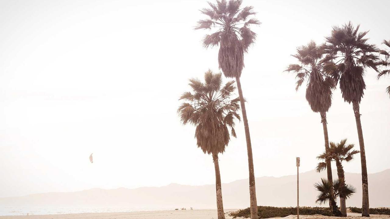 新时代创业网：探索数字经济下的无限可能-创业网 - 最新网络创业项目与实战营销教程平台 | cye.cc