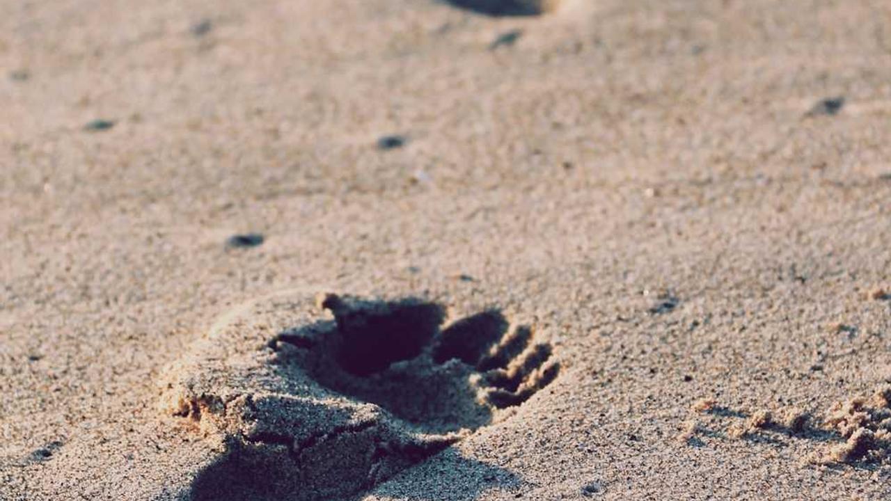 图片[2]-“创业网：为梦想插上翅膀的创新平台”-创业网 - 最新网络创业项目与实战营销教程平台 | cye.cc