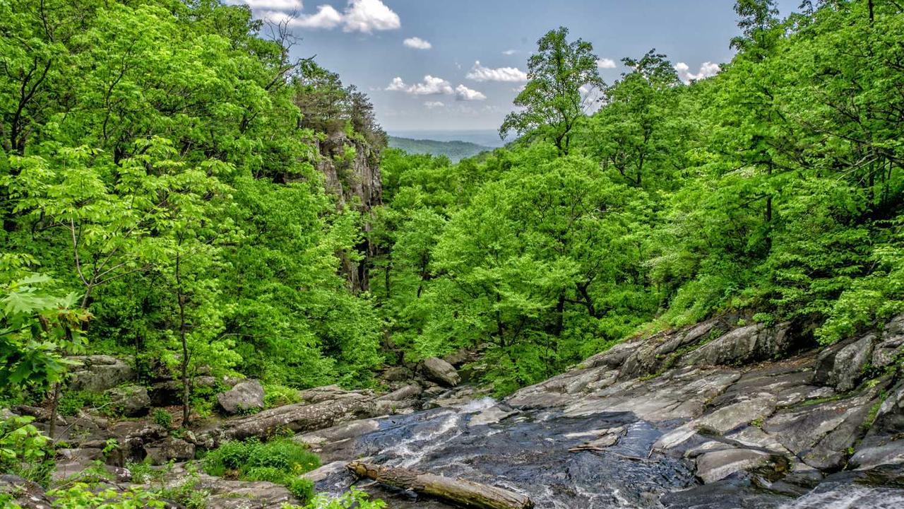 图片[3]-“创业网：为梦想插上翅膀的创新平台”-创业网 - 最新网络创业项目与实战营销教程平台 | cye.cc