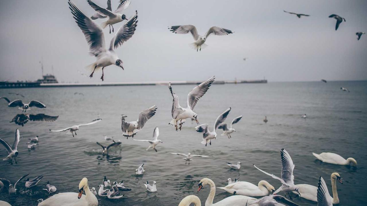 创业网：数字时代创业者共赢的新平台-创业网 - 最新网络创业项目与实战营销教程平台 | cye.cc