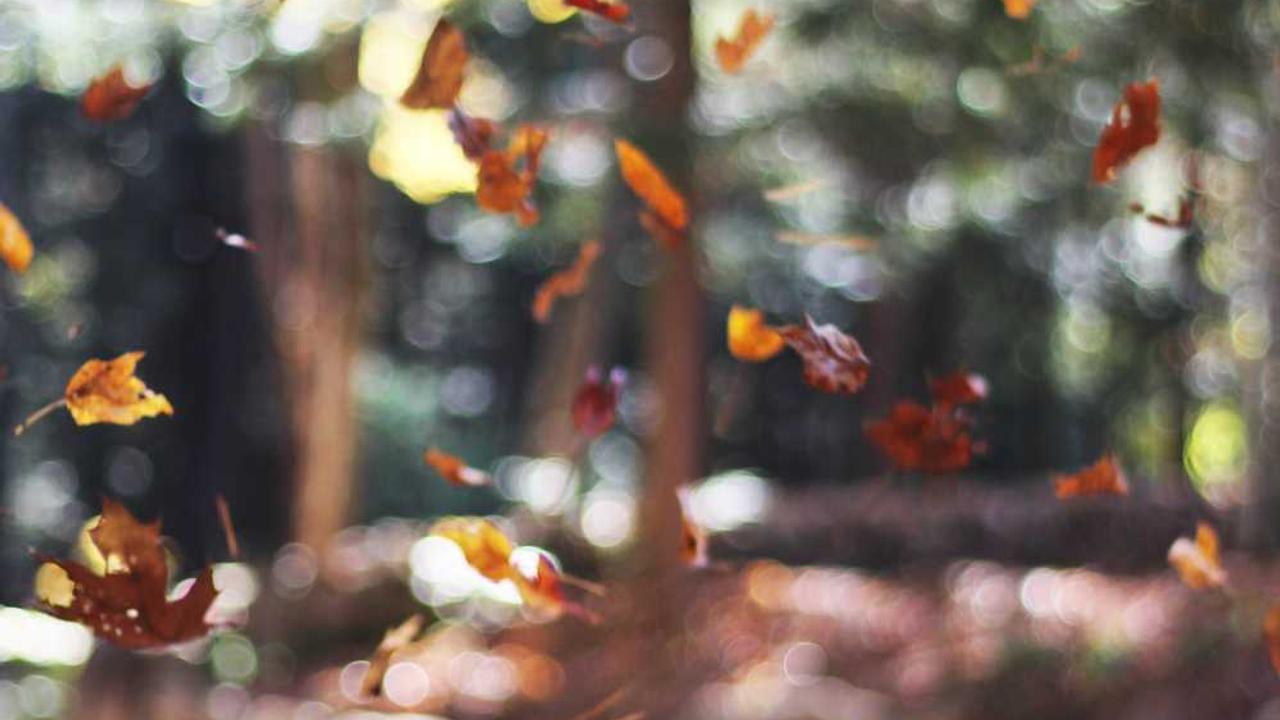 淘宝创业成功攻略-创业网 - 最新网络创业项目与实战营销教程平台 | cye.cc