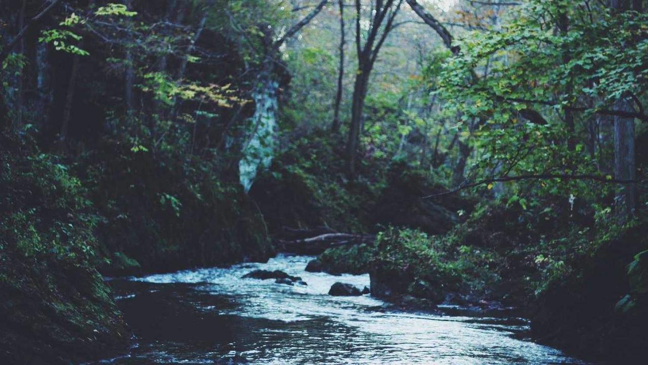 图片[2]-淘宝创业成功攻略-创业网 - 最新网络创业项目与实战营销教程平台 | cye.cc