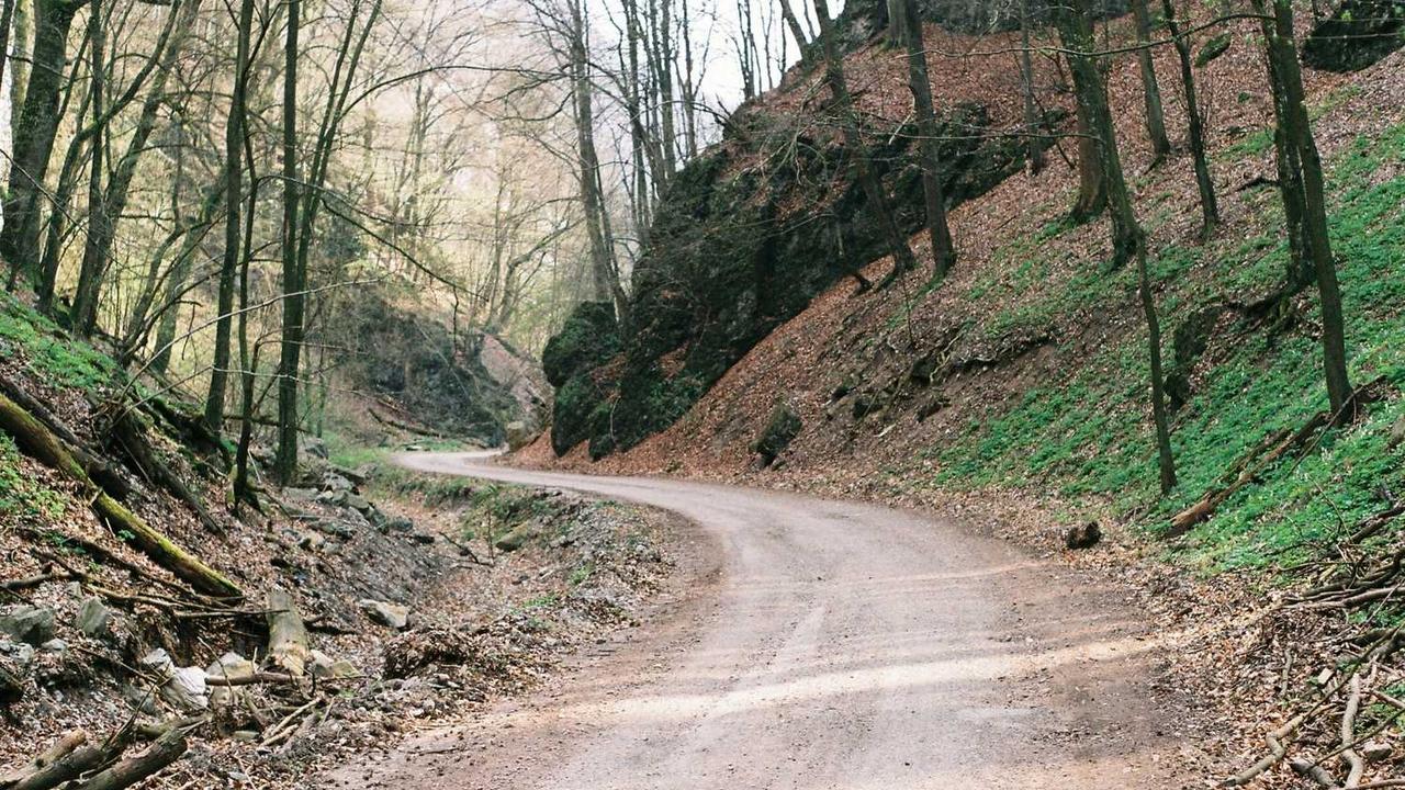 图片[3]-在创业网上获得成功的关键知识与技巧-创业网 - 最新网络创业项目与实战营销教程平台 | cye.cc