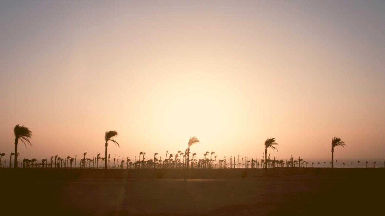 图片[2]-在线赚钱的创业机会EXPANDED: 通过网络创业赚取收入-创业网 - 最新网络创业项目与实战营销教程平台 | cye.cc