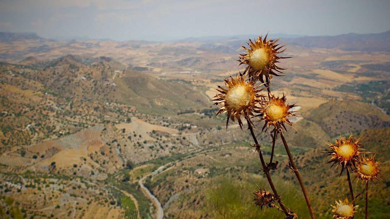 创业网 - 最新网络创业项目与实战营销教程平台 | cye.cc