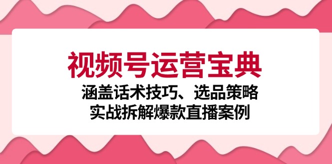 视频号运营宝典：涵盖话术技巧、选品策略、实战拆解爆款直播案例-创业网 - 最新网络创业项目与实战营销教程平台 | cye.cc