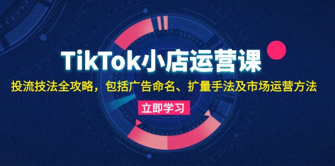 TikTok小店运营课：投流技法全攻略，包括广告命名 扩量手法及市场运营方法-创业网 - 最新网络创业项目与实战营销教程平台 | cye.cc