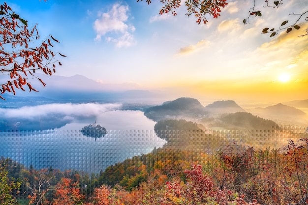 2023创业好项目投资小利润大的机会解析-创业网 - 最新网络创业项目与实战营销教程平台 | cye.cc