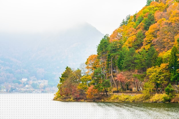 互联网创业新趋势：如何在平民创业网开启你的成功之路-创业网 - 最新网络创业项目与实战营销教程平台 | cye.cc