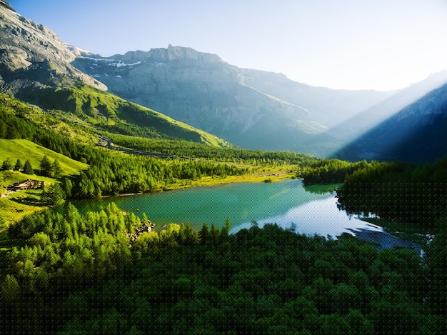 如何在高校创业网课中找到适合你的创业项目建议-创业网 - 最新网络创业项目与实战营销教程平台 | cye.cc