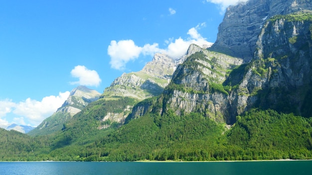 如何选择适合自己的创业网进行项目投资-创业网 - 最新网络创业项目与实战营销教程平台 | cye.cc