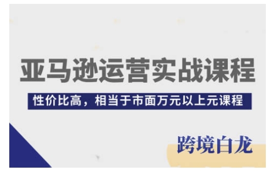 亚马逊运营实战课程，亚马逊从入门到精通，性价比高，相当于市面万元以上元课程-创业网 - 最新网络创业项目与实战营销教程平台 | cye.cc