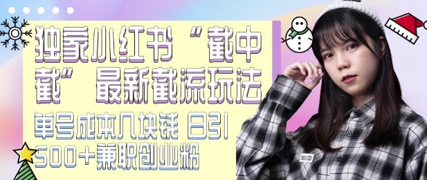 最新小红书截流玩法 独家截中截 单号成本几块钱 日引500+CY粉JZ粉-创业网 - 最新网络创业项目与实战营销教程平台 | cye.cc