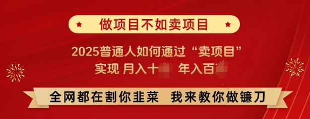 必看，做项目不如卖项目，2025普通人如何通过“卖项目”实现月入十个，年入百个-创业网 - 最新网络创业项目与实战营销教程平台 | cye.cc