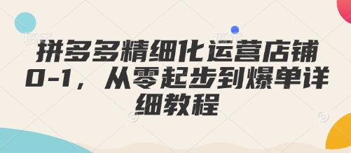拼多多精细化运营店铺0-1，从零起步到爆单详细教程-创业网 - 最新网络创业项目与实战营销教程平台 | cye.cc