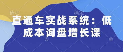 直通车实战系统：低成本询盘增长课，让个人通过技能实现升职加薪，让企业低成本获客，订单源源不断-创业网 - 最新网络创业项目与实战营销教程平台 | cye.cc