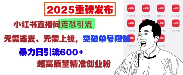 2025重磅发布：小红书直播间连怼引流，无需连麦、无需上镜，突破单号限制，暴力日引流600+-创业网 - 最新网络创业项目与实战营销教程平台 | cye.cc