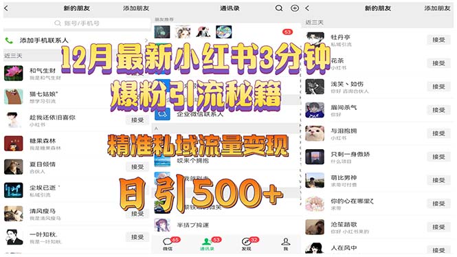 12月最新小红书3分钟爆粉引流秘籍 精准私域流量变现 日引500+-创业网 - 最新网络创业项目与实战营销教程平台 | cye.cc