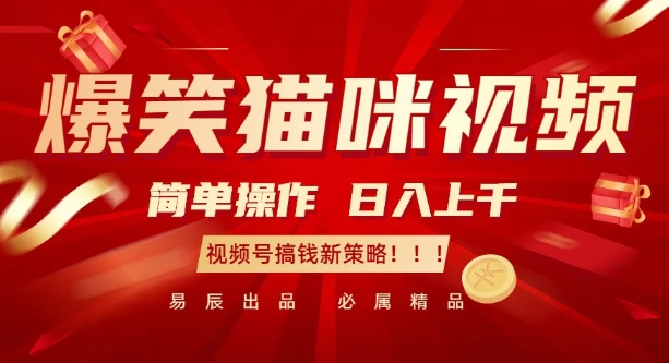 爆笑猫咪视频：简单操作，日入过K，视频号搞钱新策略【揭秘】-创业网 - 最新网络创业项目与实战营销教程平台 | cye.cc