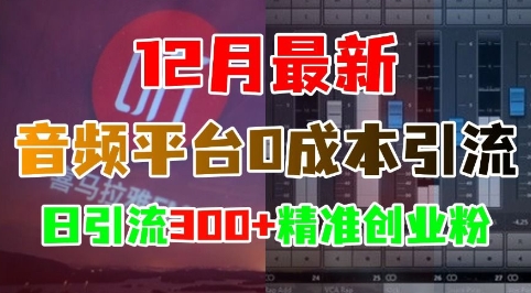 12月最新：音频平台0成本引流，日引流300+精准创业粉-创业网 - 最新网络创业项目与实战营销教程平台 | cye.cc