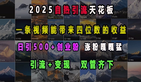 2025自热引流天花板，一条视频能带来四位数的收益，引流+变现双管齐下，日引500+创业粉，涨粉嘎嘎猛-创业网 - 最新网络创业项目与实战营销教程平台 | cye.cc