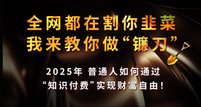 全网都在割你韭菜，我来教你做镰刀，2025年普通人如何通过 知识付费 实现财F自由【揭秘】-创业网 - 最新网络创业项目与实战营销教程平台 | cye.cc