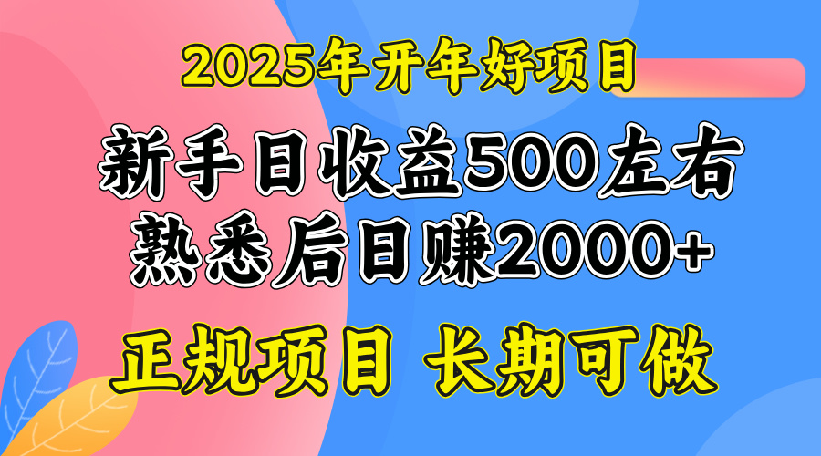 2025开年好项目，单号日收益2000左右-创业网 - 最新网络创业项目与实战营销教程平台 | cye.cc