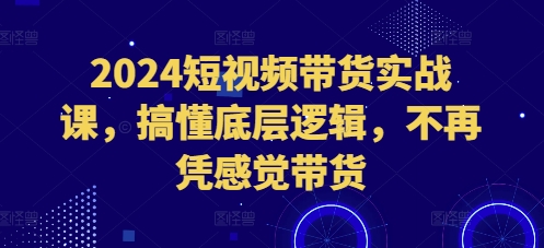 2024短视频带货实战课，搞懂底层逻辑，不再凭感觉带货-创业网 - 最新网络创业项目与实战营销教程平台 | cye.cc