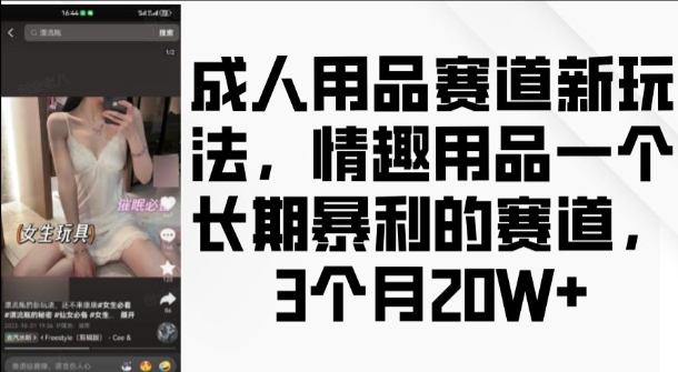成人用品赛道新玩法，情趣用品一个长期暴利的赛道，3个月收益20个【揭秘】-创业网 - 最新网络创业项目与实战营销教程平台 | cye.cc