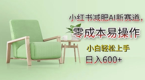 小红书减肥AI新赛道，零成本易操作，日入多张，小白轻松上手【揭秘】-创业网 - 最新网络创业项目与实战营销教程平台 | cye.cc