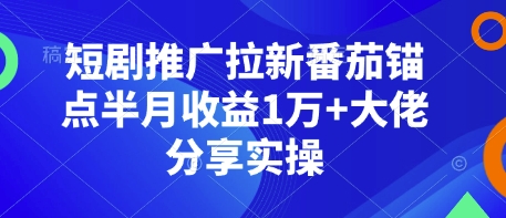 短剧推广拉新番茄锚点半月收益1万+大佬分享实操-创业网 - 最新网络创业项目与实战营销教程平台 | cye.cc