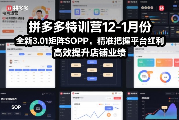 拼多多特训营12-1月份，全新3.01矩阵Sop，精准把握平台红利，高效提升店铺业绩-创业网 - 最新网络创业项目与实战营销教程平台 | cye.cc