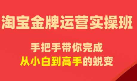 飓风电商·淘宝金牌运营实操班-创业网 - 最新网络创业项目与实战营销教程平台 | cye.cc