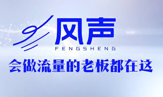 董十一·风声短视频AI获客年度会员-创业网 - 最新网络创业项目与实战营销教程平台 | cye.cc