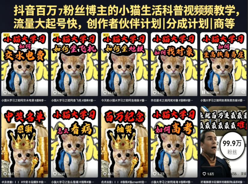 抖音百万粉丝博主的小猫生活科普视频教学，流量大起号快，创作者伙伴计划|分成计划|商单|收徒等-创业网 - 最新网络创业项目与实战营销教程平台 | cye.cc