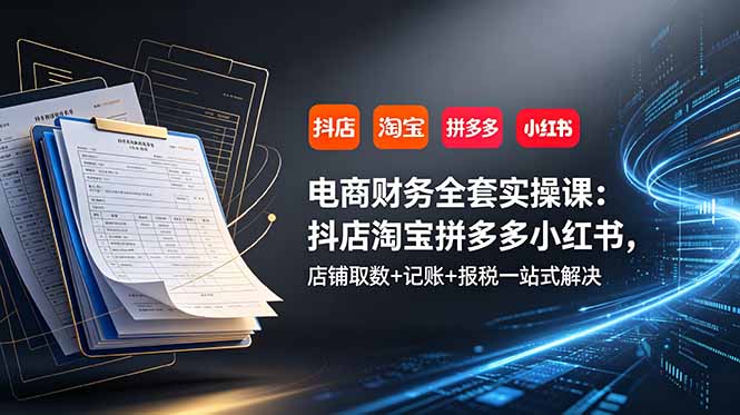 电商财务全套实操课：抖店淘宝拼多多小红书，店铺取数+记账+报税一站式解决-创业网 - 最新网络创业项目与实战营销教程平台 | cye.cc