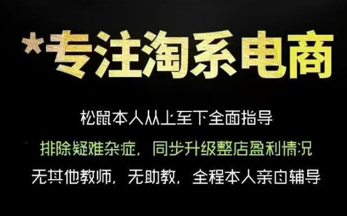 松鼠会电商VIP课程，从基础布局到高阶优化，助你掌握淘宝运营逻辑，提升店铺流量与转化-创业网 - 最新网络创业项目与实战营销教程平台 | cye.cc