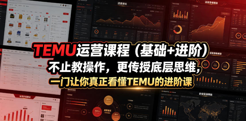 TEMU运营课程(基础+进阶)，不止教操作，更传授底层思维，一门让你真正看懂TEMU的进阶课-创业网 - 最新网络创业项目与实战营销教程平台 | cye.cc