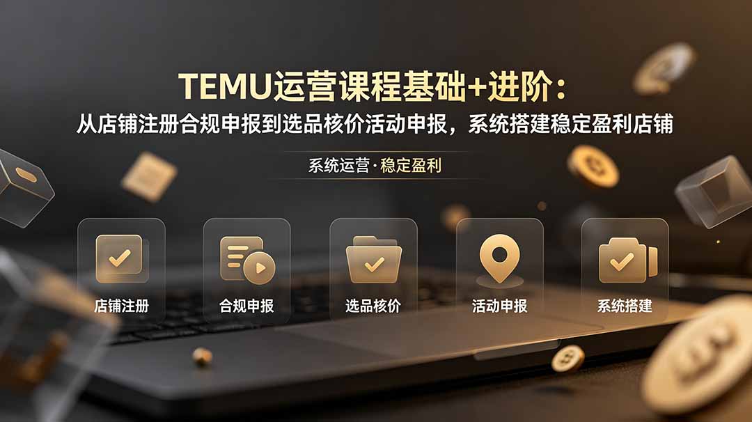 TEMU运营课程(基础+进阶-创业网 - 最新网络创业项目与实战营销教程平台 | cye.cc