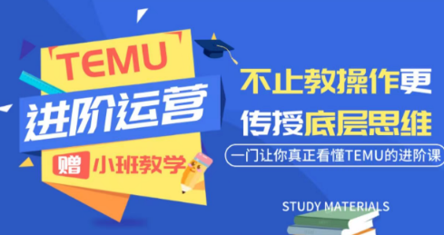 阿卡林·TEMU运营课程(基础+进阶)-创业网 - 最新网络创业项目与实战营销教程平台 | cye.cc