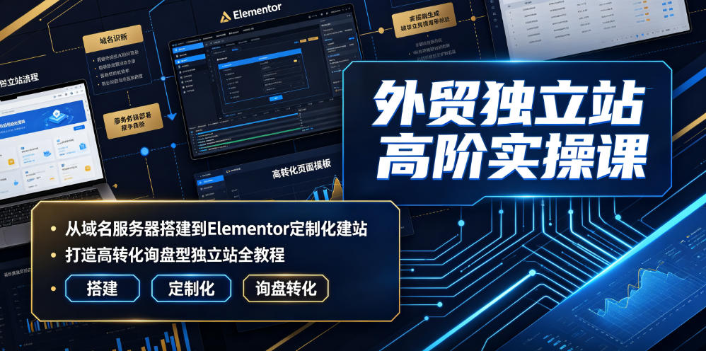 外贸独立站高阶实操课｜从域名服务器搭建到Elementor定制化建站，打造高转化询盘型独立站全教程-创业网 - 最新网络创业项目与实战营销教程平台 | cye.cc