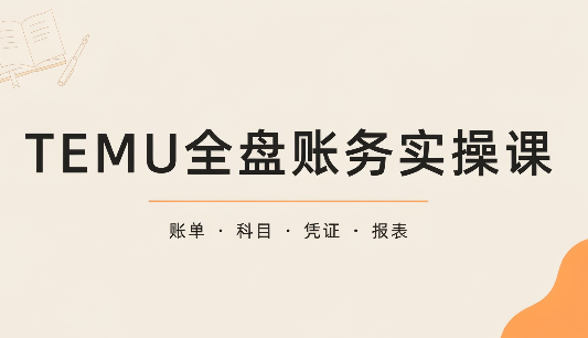 TEMU全盘账务实操课：账单导出、科目设置、利润核算-创业网 - 最新网络创业项目与实战营销教程平台 | cye.cc