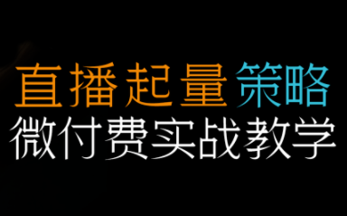 半野老师·直播带货起量与微付费必学课视频号(更新2026)-创业网 - 最新网络创业项目与实战营销教程平台 | cye.cc